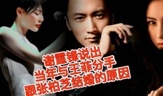 张柏芝谢霆锋结婚