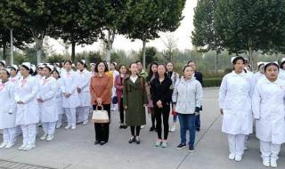 鹤壁职业技术学院成绩查询