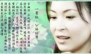 真倚天屠龙记攻略 真倚天屠龙记攻略