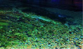 黄山景区今日门票停止预约 黄山景区今日门票停止预约