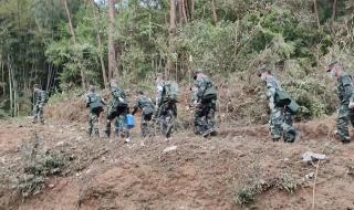 直击东航坠机事故现场救援