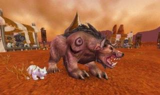 熊战士出什么装备 熊战士出什么装备