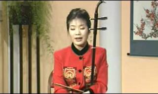 一般的二胡多少钱 一般的二胡多少钱