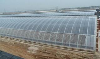 新型日光温室大棚 新型日光温室大棚