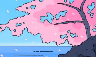 北京最靠谱的留学中介排名 北京最靠谱的留学中介排名