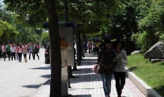 重庆幼儿师范高等专科学校 重庆幼儿师范高等专科学校