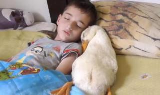 放在里面睡觉的睡姿有哪些