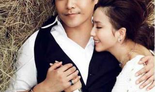 陈思诚把佟丽娅介绍给高官