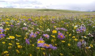 四川省中国青年旅行社 四川省中国青年旅行社