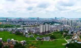 树高百尺落叶归根意思 树高百尺落叶归根意思