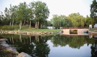 万园之园指的是哪个园 万园之园指的是哪个园