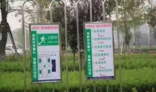 山东地震多地收到预警 山东地震多地收到预警